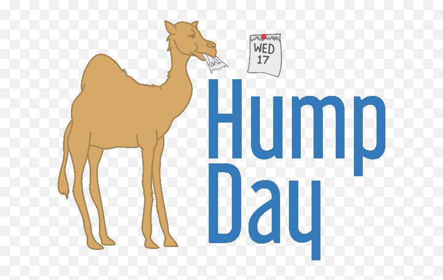 Top Hump Stickers For Android Ios - Arabian Camel Emoji,Hump Day Emoji