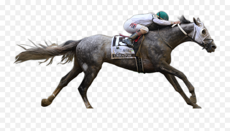 Download Creator Wins The G1 Belmont Stakes - Horse Racing Horse Racing Cut Out Emoji,Horse Emoji Png