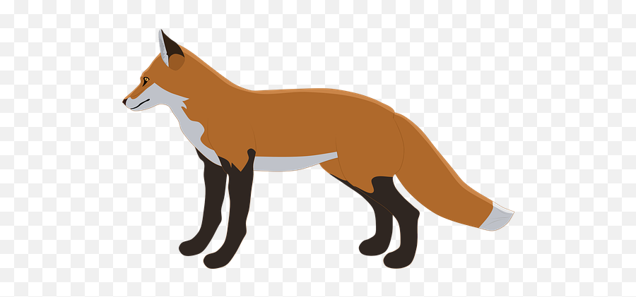 Over 100 Free Fox Vectors - Pixabay Pixabay Red Fox Emoji,Fox Emoji