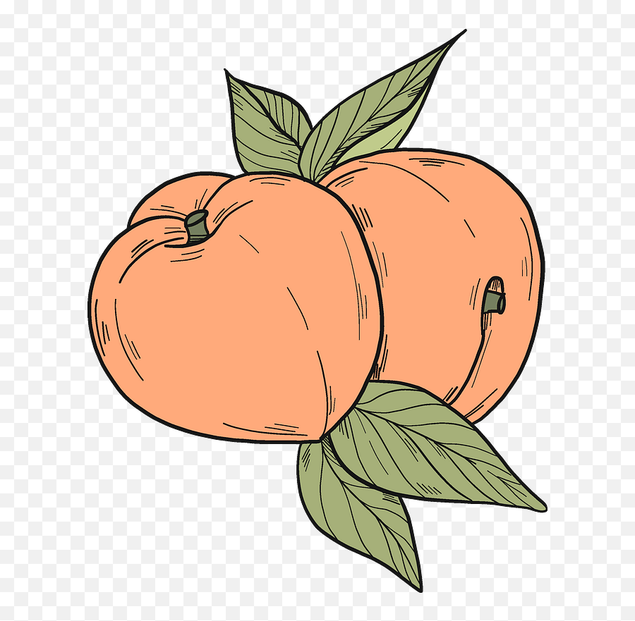 Peaches Clipart - Superfood Emoji,Peaches Emoji