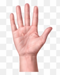 Parts Of The Body - Palm Hand Transparent Background Emoji