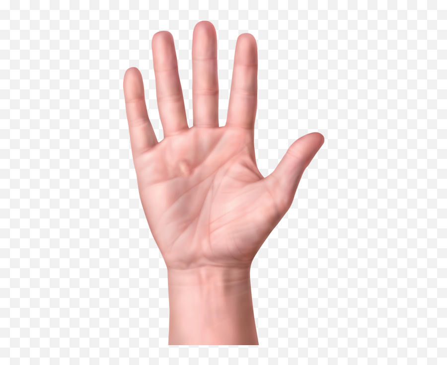 Parts Of The Body - Palm Hand Transparent Background Emoji,Hand Plus Eye Emoji