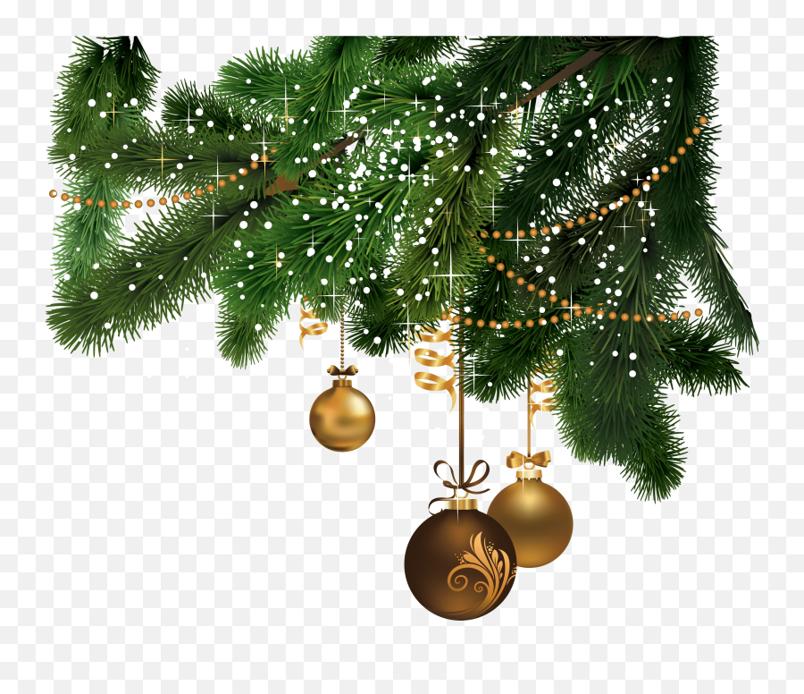 Christmas Right Corner Transparent Png - Christmas Tree Images Png Emoji,Christmas Light Emoji