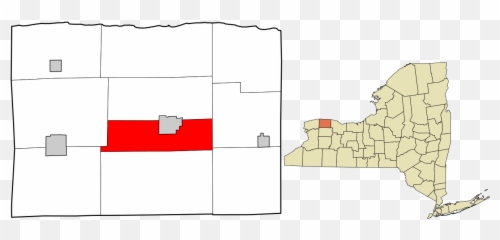 Orleans County New York - Diagram Emoji