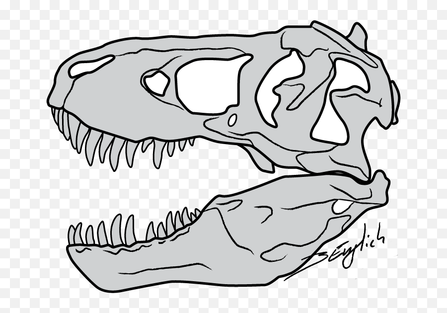 Library Of Trex Face Graphic Transparent Download Black And - T Rex Skull Drawing Easy Emoji,Trex Emoji
