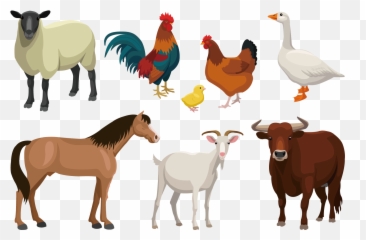 Cattle Goat Sheep Livestock - Farm Animal Vector Farm Animals Vector Png Emoji,Goat Emoticon