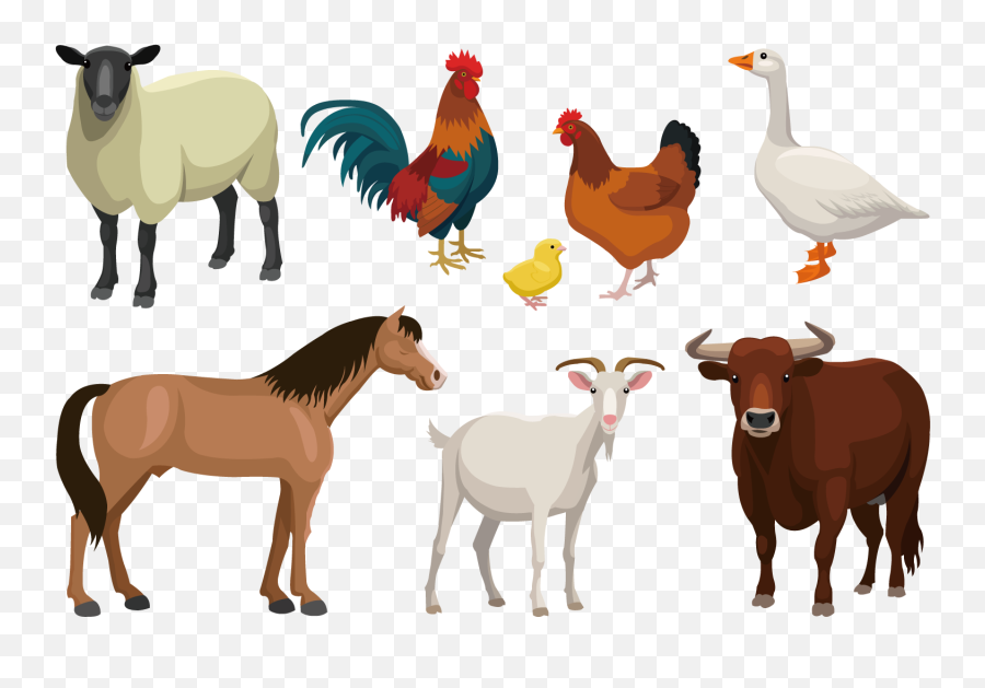 Cattle Goat Sheep Livestock - Farm Animal Vector Farm Animals Vector Png Emoji,Goat Emoticon