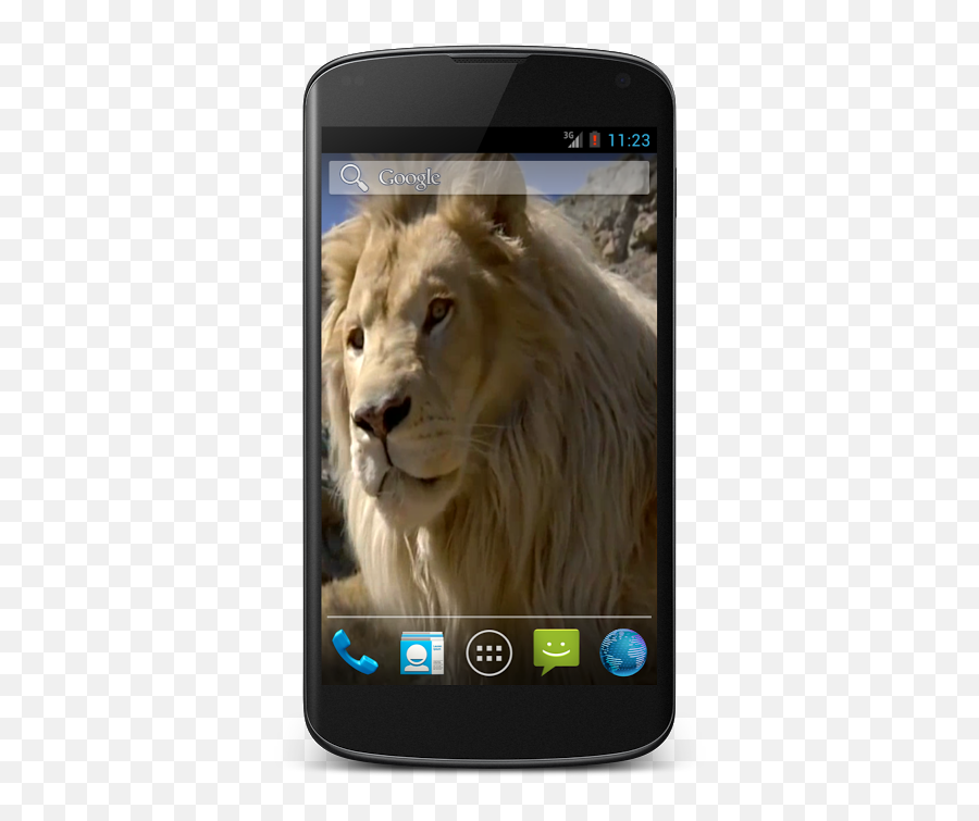 White Lion Video Wallpaper 1 Download - Android Emoji,Lion Emoji Android