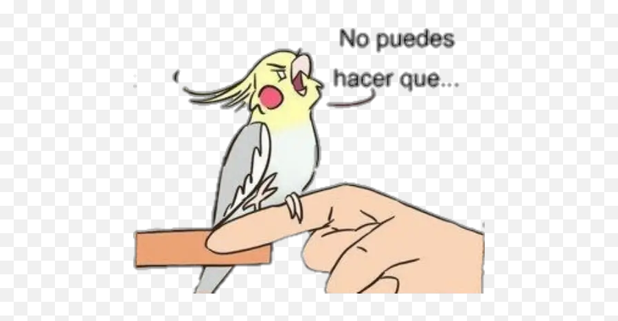 Cacatúa Historieta Stickers For Whatsapp - Memes De Cacatuas Ninfas Emoji,Cockatiel Emoji