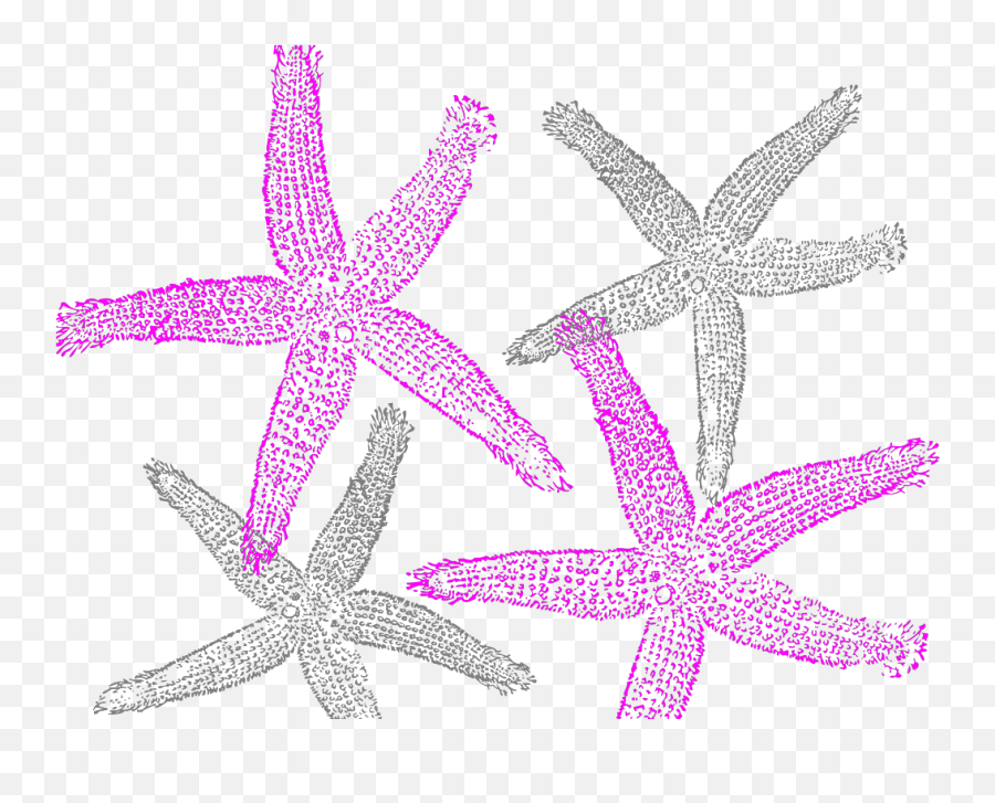 Starfish Prints Png Svg Clip Art For Web - Download Clip Clip Art Emoji,Starfish Emoji