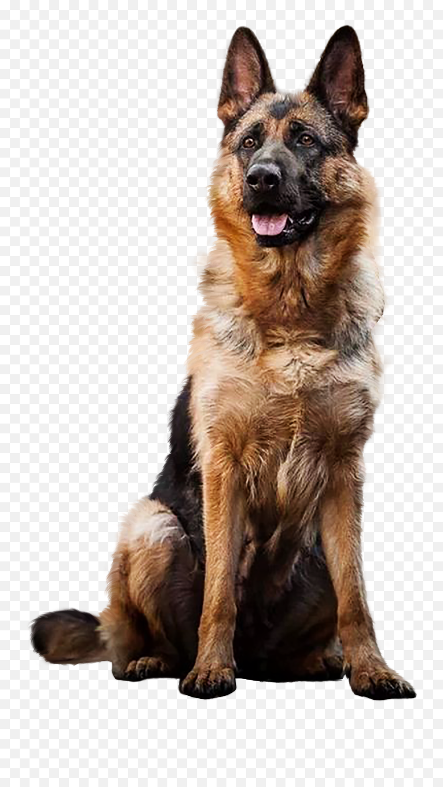 Loyal Dog Breeds - German Shepherd Dog Png Hd Emoji,Boxer Dog Emoji