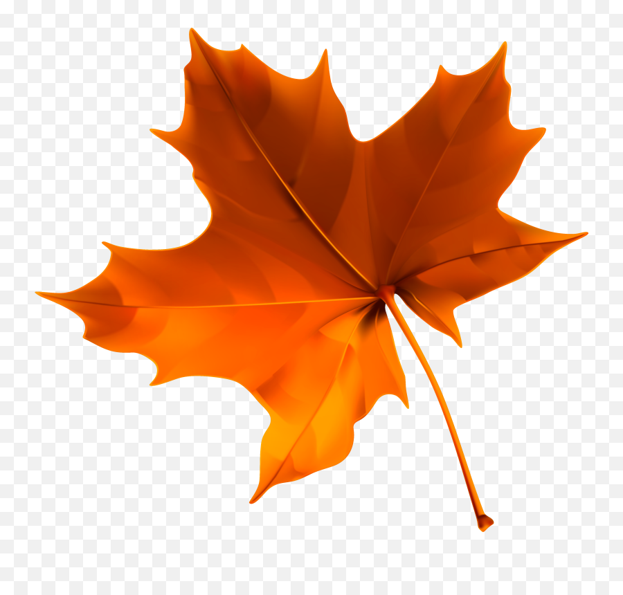 Leaves Clipart Autumn Leaves Leaves - Transparent Background Fall Leaf Clipart Emoji,Autumn Emoji