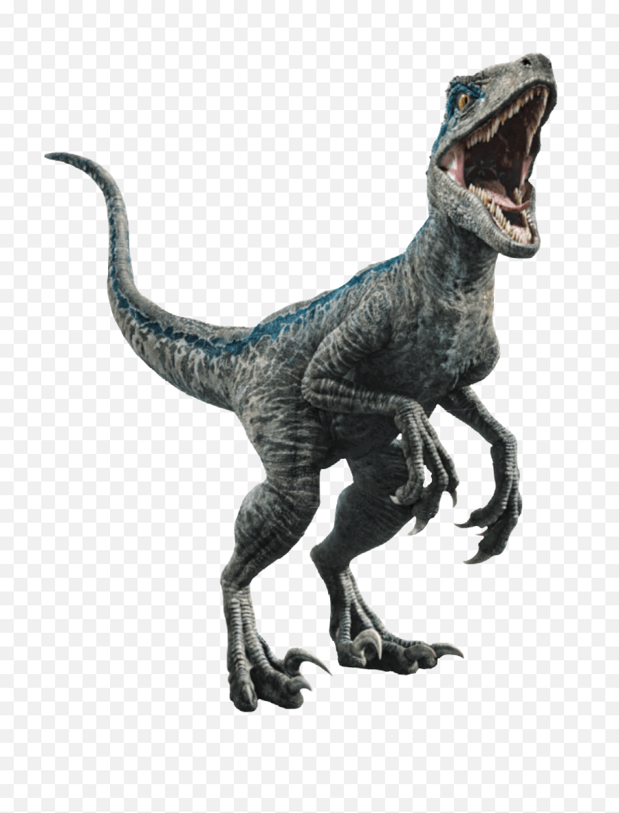 Blue Raptor Dinosaur - Velociraptor Blue Emoji,Raptor Emoji