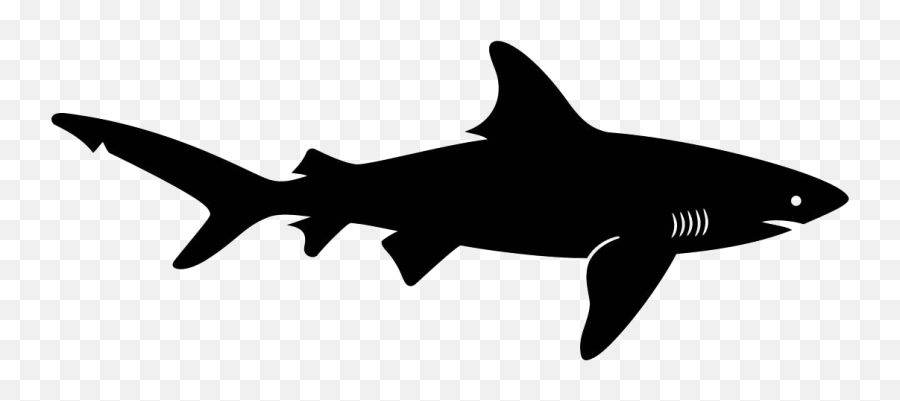 Vector Sharks Shark Fin Transparent - Shark Silhouette Transparent Background Emoji,Shark Fin Emoji