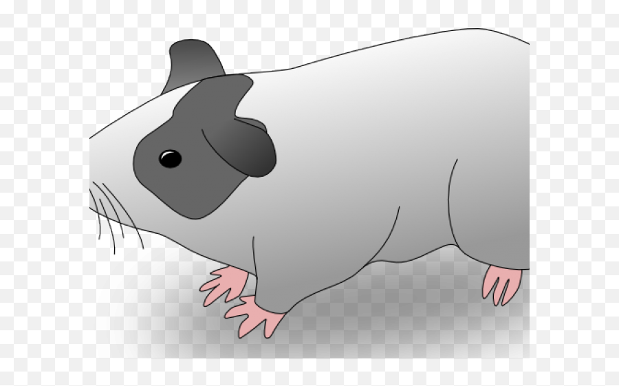 Guinea Pig Clipart Free Clip Art Stock - Cavia Art Emoji,Guinea Pig Emoji