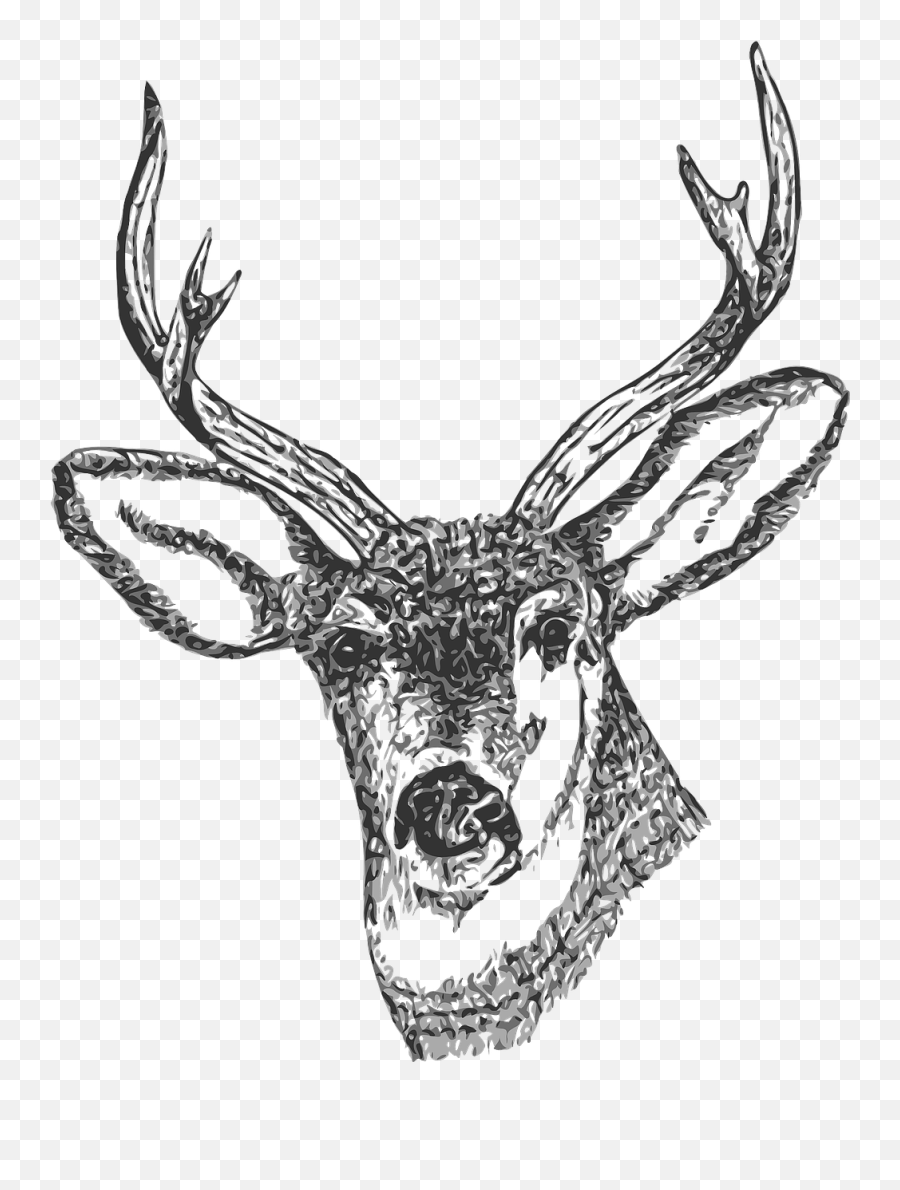 Buck Head Stag Deer Drawing - Kepala Rusa Png Emoji,Deer Hunting Emoji