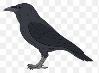 How To Draw A Raven - Drawing Common Raven Bird Raven Emoji,Crow Emoji