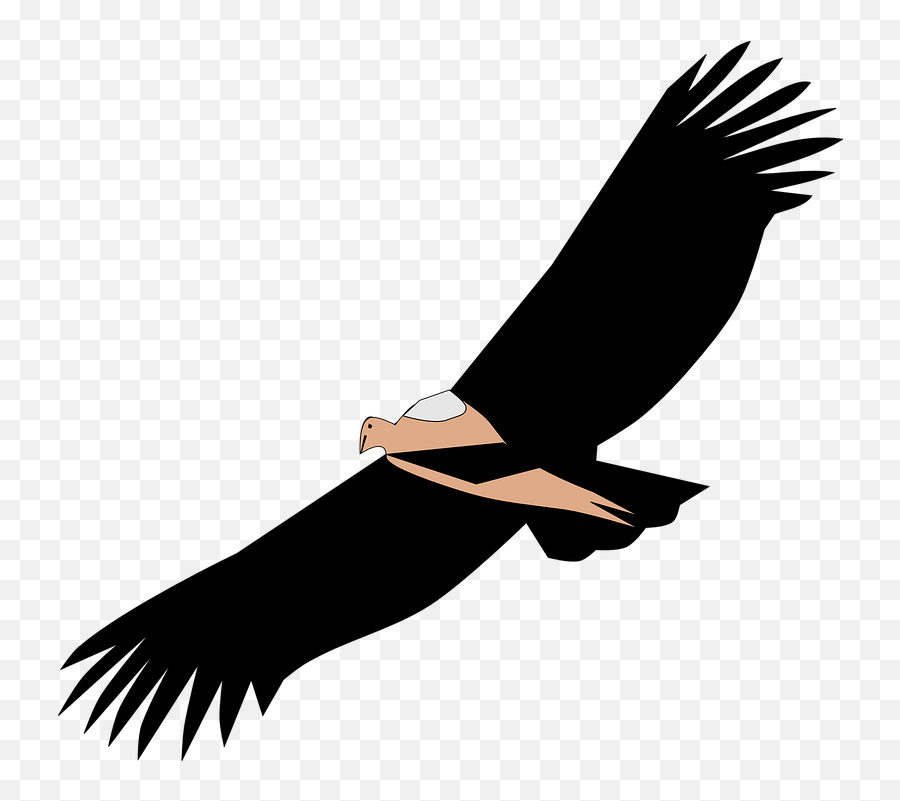 Free Spread Wings Vectors - Vulture Emoji,Hummingbird Emoticon