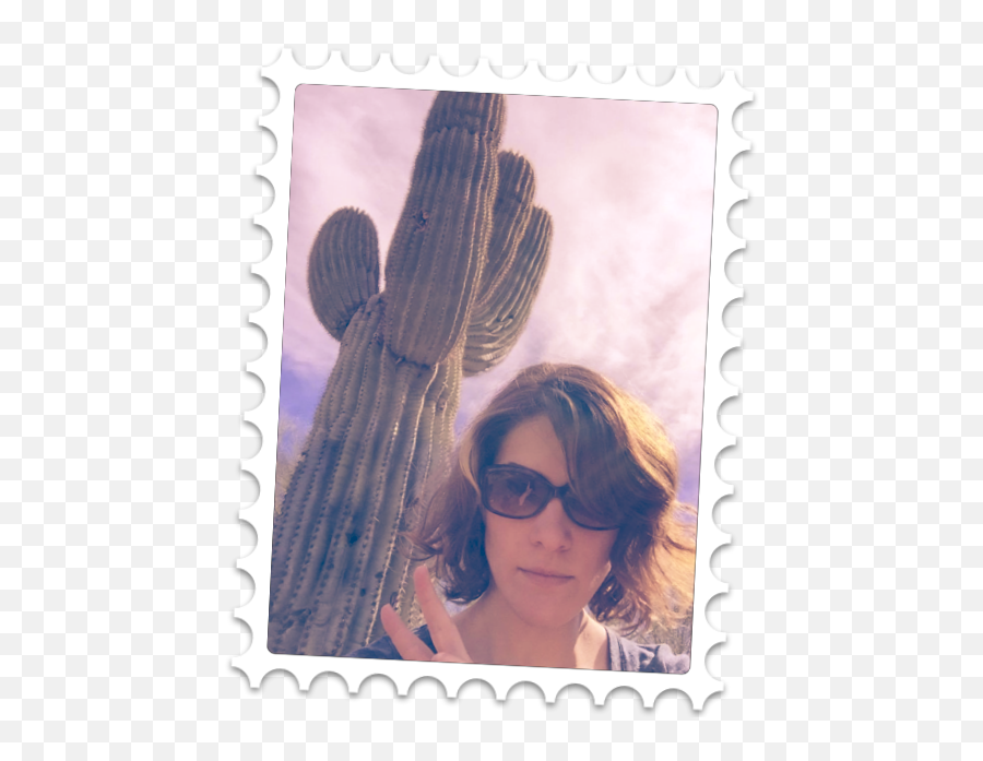 Stick Yo Self U2014 The Selfie Sticker App - Hedgehog Cactus Emoji,Emoji Selfies