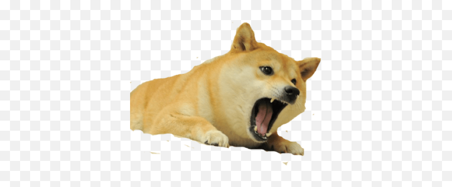 Ui Png And Vectors For Free Download - Dlpngcom Transparent Background Angry Doge Png Emoji,Doge Emoticon