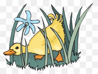 Ducklingbabybirdspringflowers - free image from needpixcom In Grass Clipart Emoji