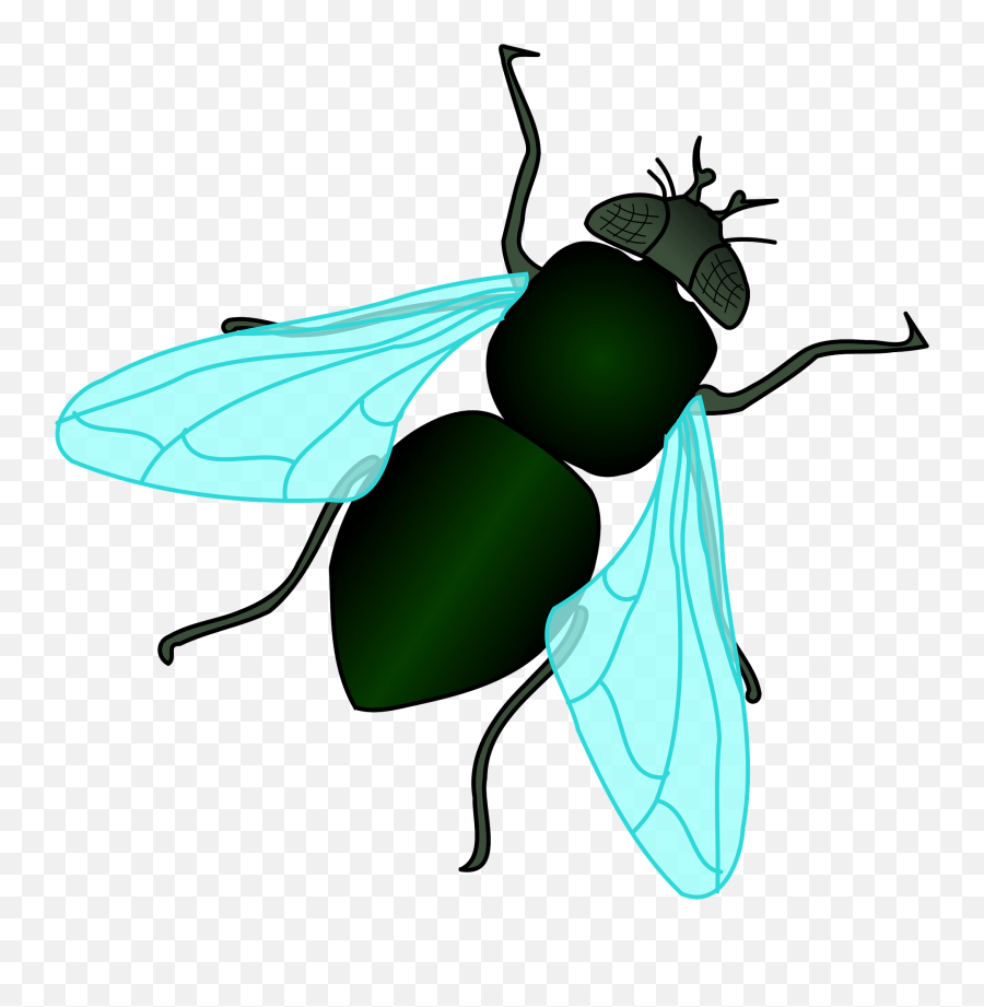 Green House Fly Clipart Free Download Transparent Png - Fly Png Clipart Emoji,Dragonfly Emoji