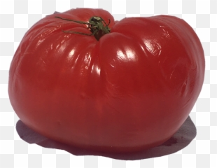 Tomato - Plum Tomato Emoji,Tomato Emoji