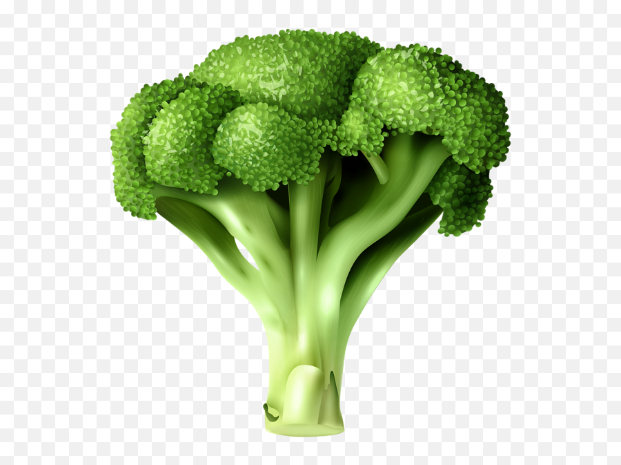 Broccoli Png Image Free Broccoli Pictures Download - Clipart Transparent Background Broccoli Emoji,Broccoli Emoji