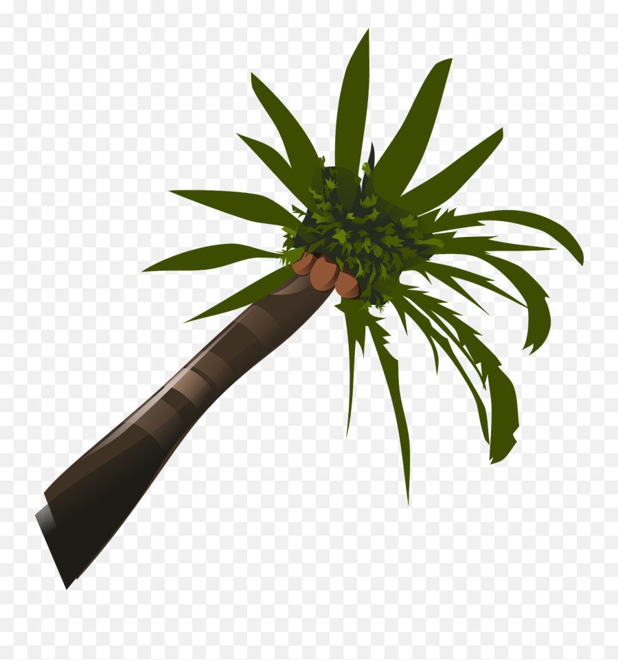 Palms Trees Coconuts Tropical Hawaiian - Palm Tree Clip Art Emoji,Weed Plant Emoji