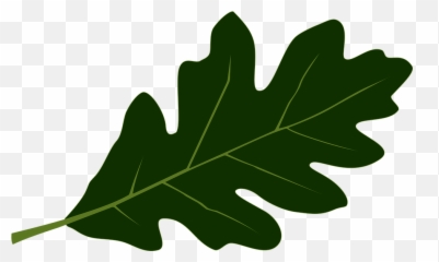 Oak Leaf - Leaf Emoji,Four Leaf Clover Emoji
