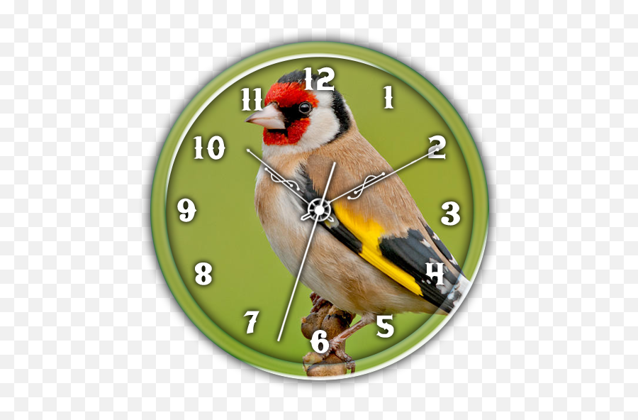 American Gold Finch Clock Lwp - Goldfinch Emoji,Finch Emoji