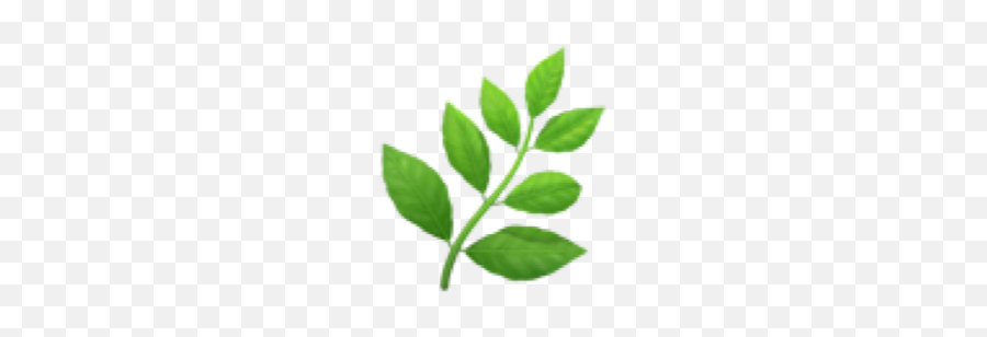 Ios10 Plantas Emoji Freetoedit - Herb Emoji,Ios10 Emoji