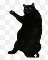 Fat Cat Transparent Png Clipart Free - Fat Black Domestic Shorthair Emoji,Dancing Cat Emoji
