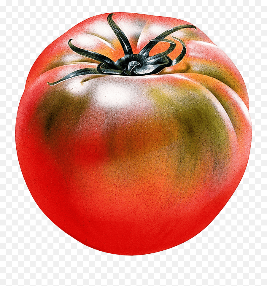 Download Tomato Png Image Hq Png Image Emoji,Tomato Emoji