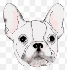 Terrier Drawing French Bulldog - Drawings French Bulldog Easy Emoji,French Bulldog Emoji