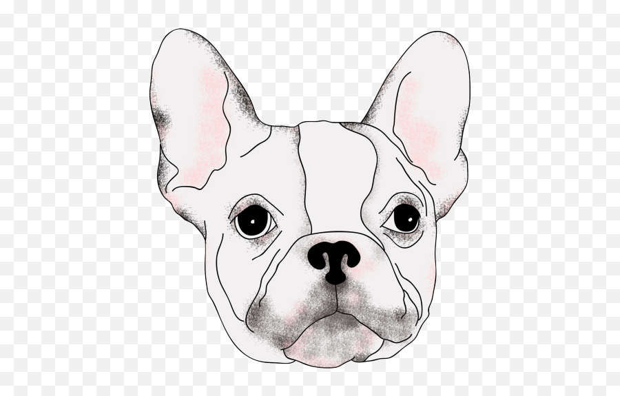 Terrier Drawing French Bulldog - Drawings French Bulldog Easy Emoji,French Bulldog Emoji