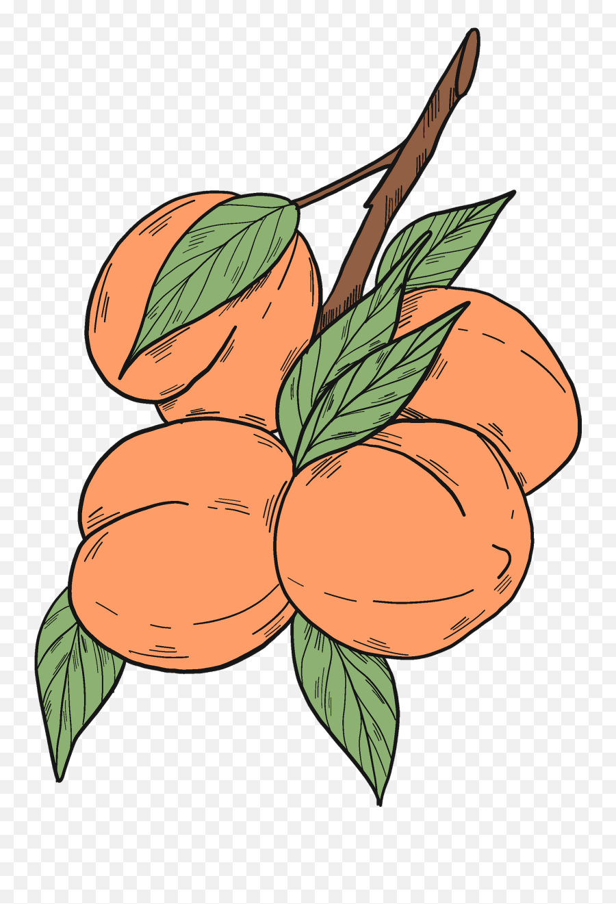 Peach Branch Clipart - Peaches Clipart Emoji,Peaches Emoji