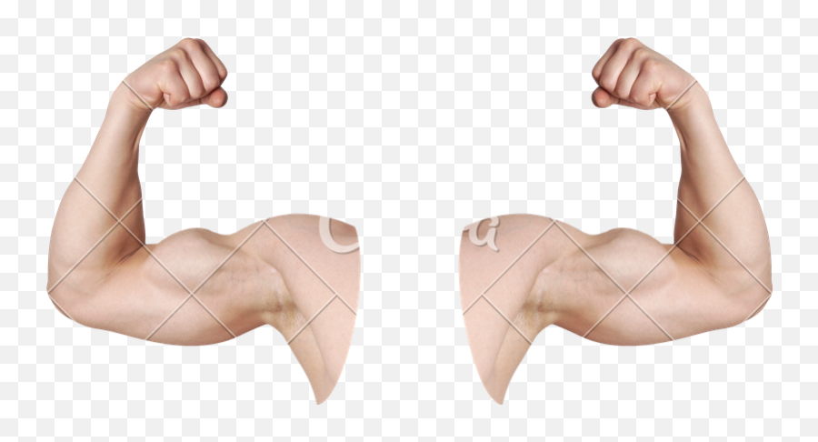 Muscle Emoji Png - Transparent Arms Flexing,Flexed Bicep Emoji