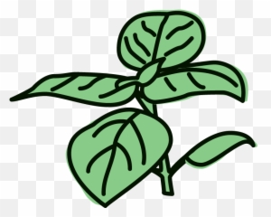 Lemon Basil Sorbet Clipart - Basil Clipart Emoji,Basil Emoji