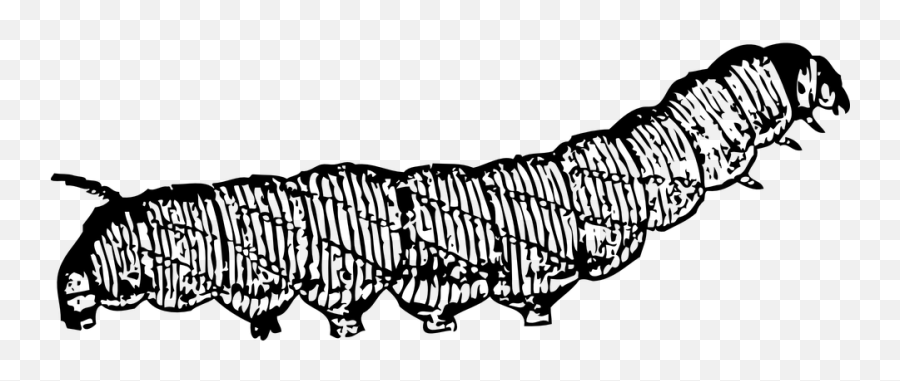 Free Caterpillar Worm Illustrations - Caterpillar Clip Art Emoji,Caterpillar Emoji