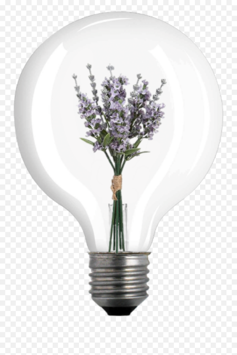 Lamp Flower Vintage Bulb Light Lightbulb - Agapanthus Emoji,Lightbulb Emoji