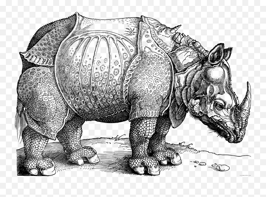 Rhinoceros2 Printable Coloring4free - Albrecht Dürer Emoji,Rhino Emoji