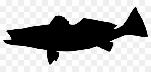 Fly fishing Angling TROUT - SHIRT png download 866650 Trout Fishing Silhouette Emoji