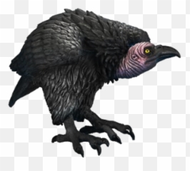 Free Png Images - Vulture Png Emoji,Vulture Emoji