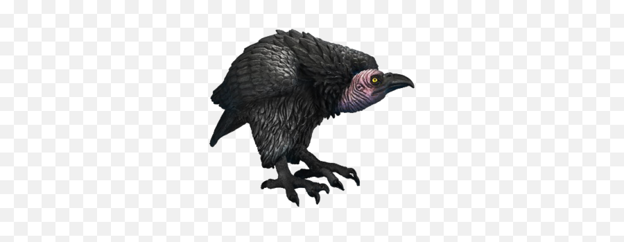 Free Png Images - Vulture Png Emoji,Vulture Emoji