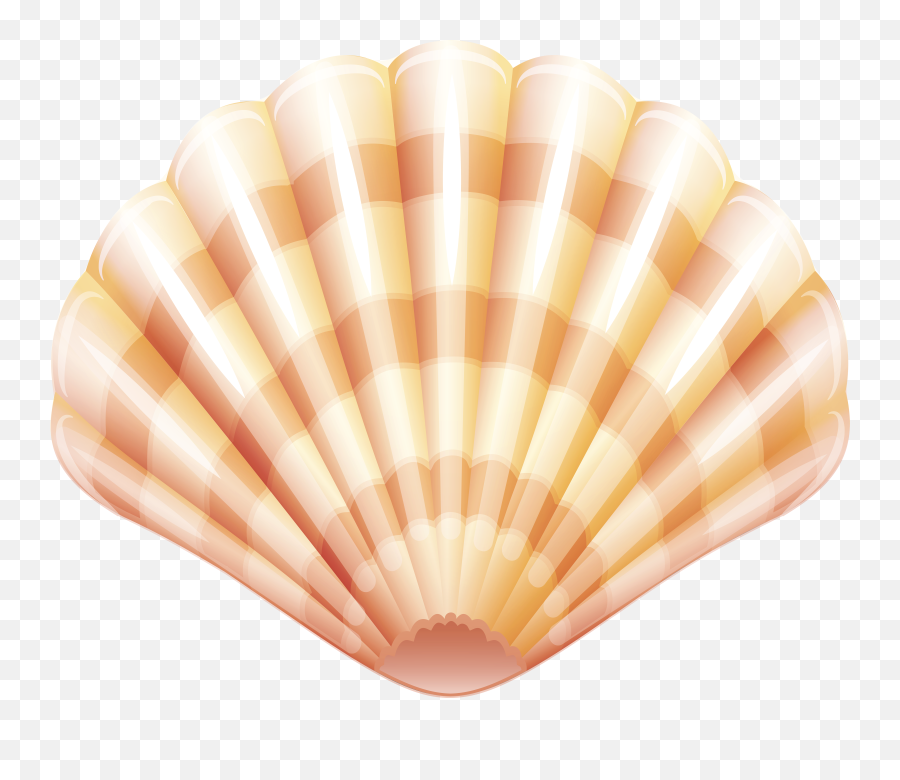 Clam Clipart Png - Clam Shell Clipart Png Emoji,Clam Emoji
