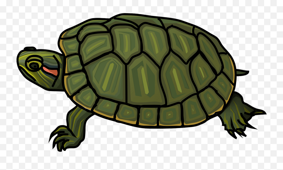 Pond Turtle Clipart - Realistic Turtle Clip Art Emoji,Snapping Emoji