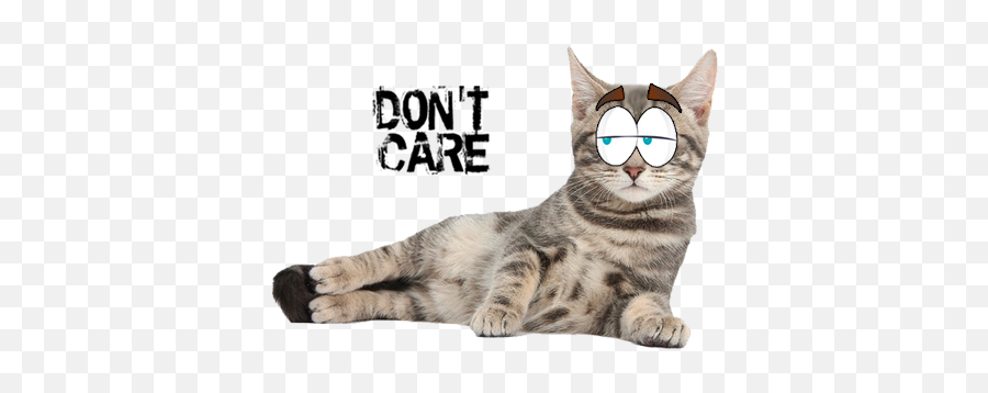 Game Catsticker - Cat Emoji For Imessage Domestic Cat,Catemoji