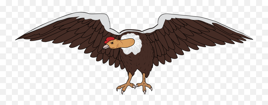 Condor Clipart Free Download Transparent Png Creazilla - Condor De Los Andes Animado Emoji,Vulture Emoji