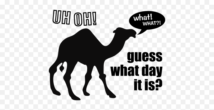 Hump Transparent Png Clipart Free - Hump Day Camel Puns Emoji,Hump Day Emoji